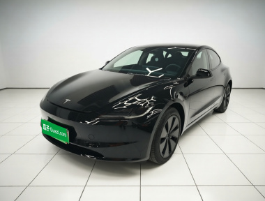 Tesla Model 3 2024 Tesla Model 3 2024 car image