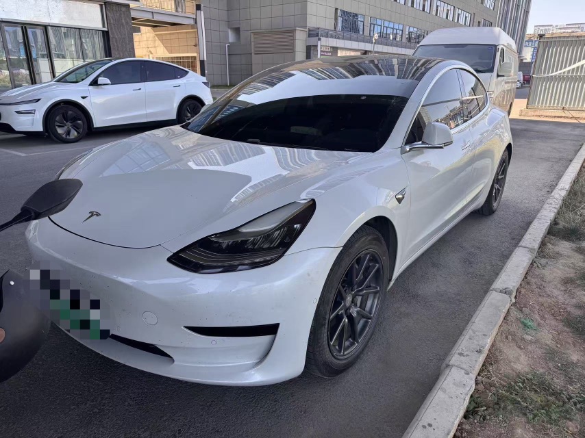 Tesla Model 3 2020 immagine di auto 