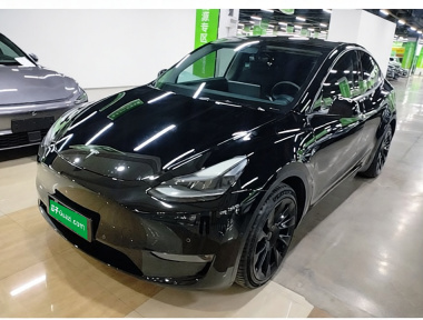 Tesla Model Y 2021 car image 