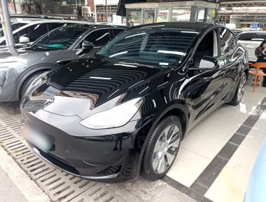 Tesla Model Y 2023 Tesla Model Y 2023 car image