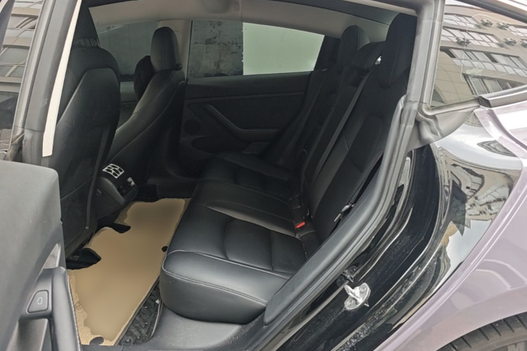 Tesla Model 3 2021 car image #17