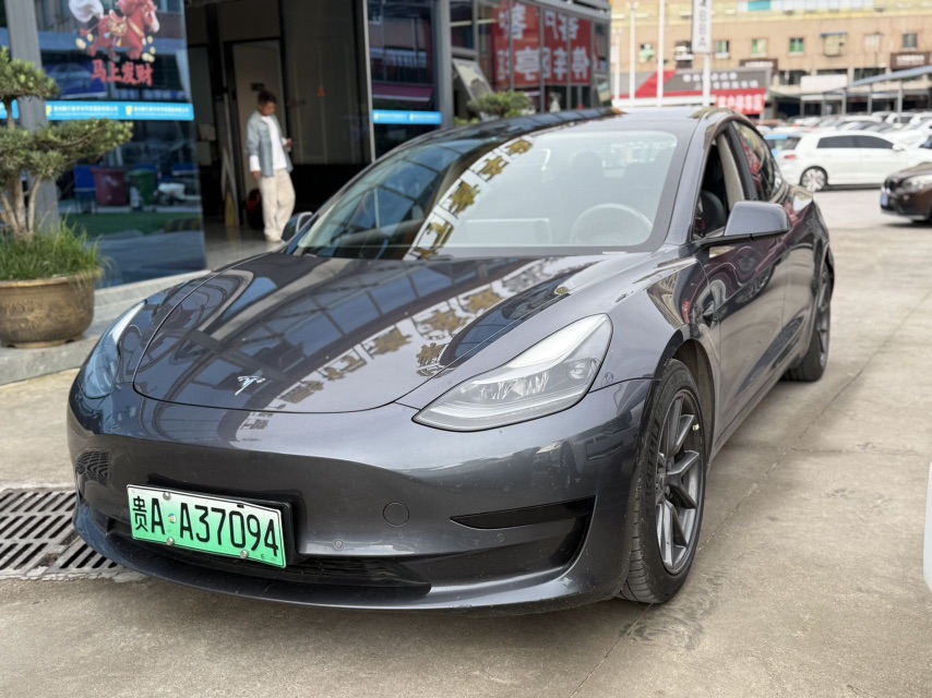Tesla Model 3 2021 Tesla Model 3 2021 car image