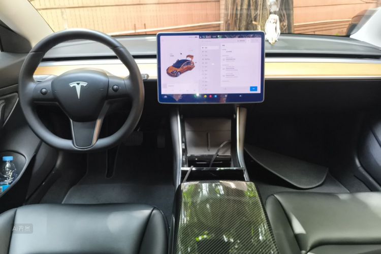 Tesla Model 3 2020 #11 Tesla Model 3 2020 car image #11