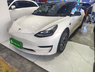 Tesla Model 3 2021 car image 