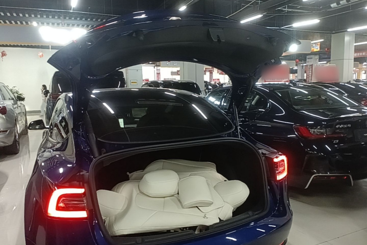 Tesla Model 3 2021 #19 Tesla Model 3 2021 car image #19