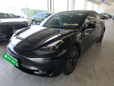 Tesla Model 3 2022 car image 