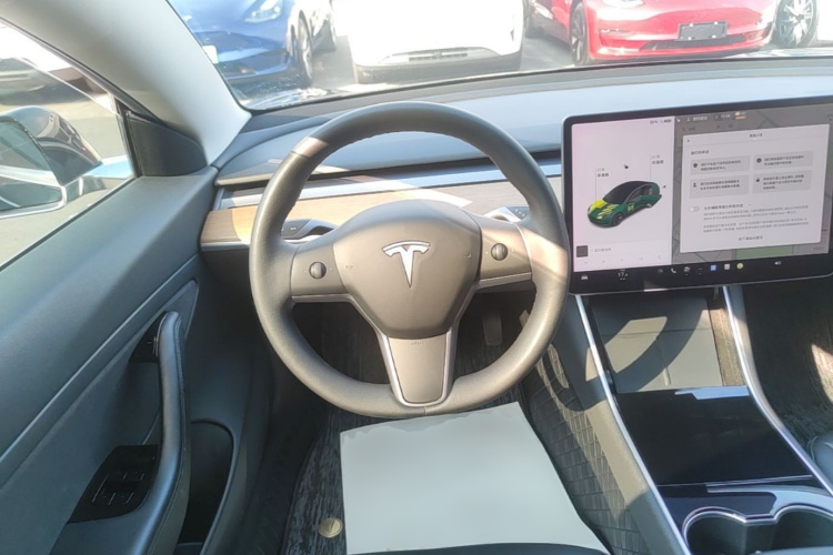 Tesla Model 3 2020 car image #11
