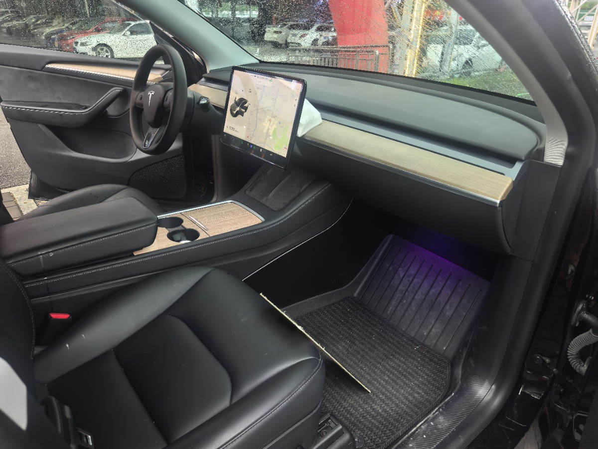 Tesla Model Y 2021 car image #10