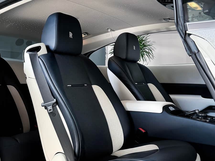 Denza Wraith 2018 car image #11
