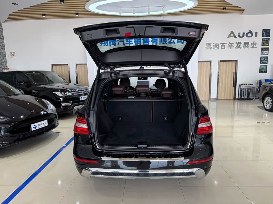 Mercedes-Benz M Class 2015 car image #11