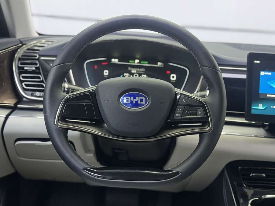 BYD e9 2021 car image #11