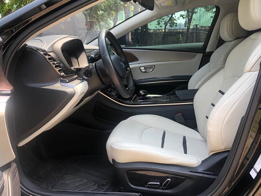 BYD e9 2021 #11 BYD e9 2021 car image #11