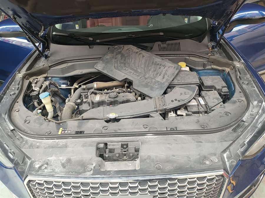 Haval F5 2019 car image #11