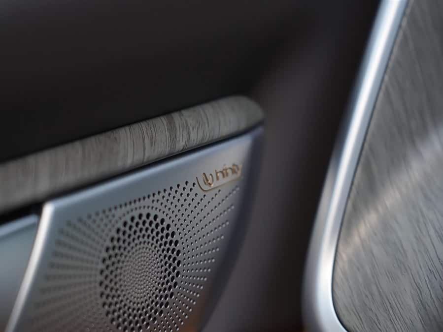 Tank 500 New Energy 2023 car image #11