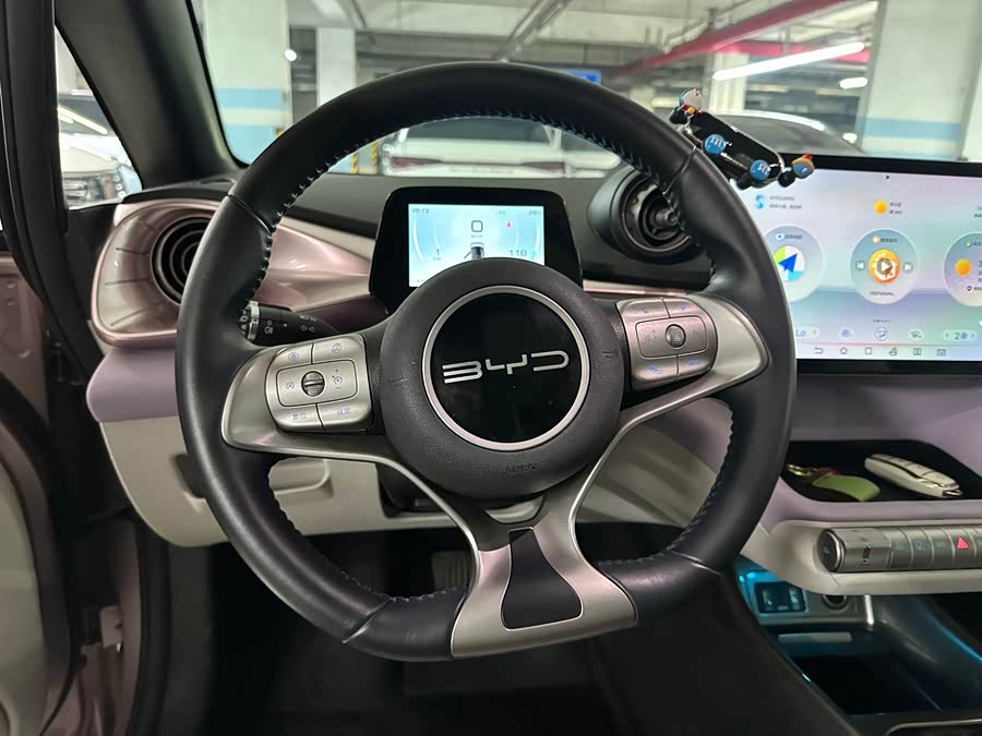 BYD Dolphin 2023 imagem de carro #11