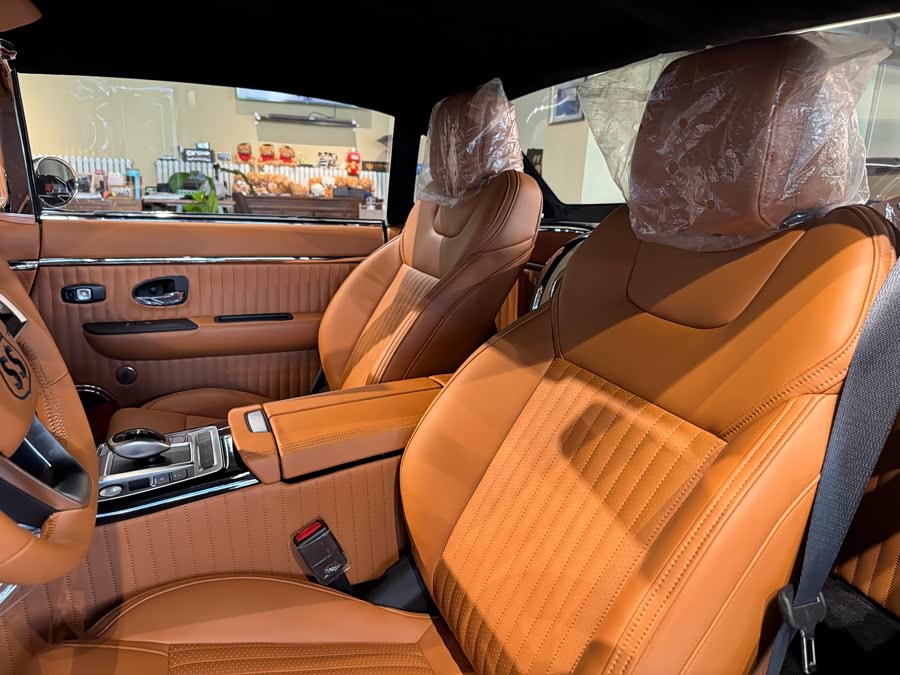 SONGSAN MOTORS SS DOLPHIN 2023 汽车图片 #11