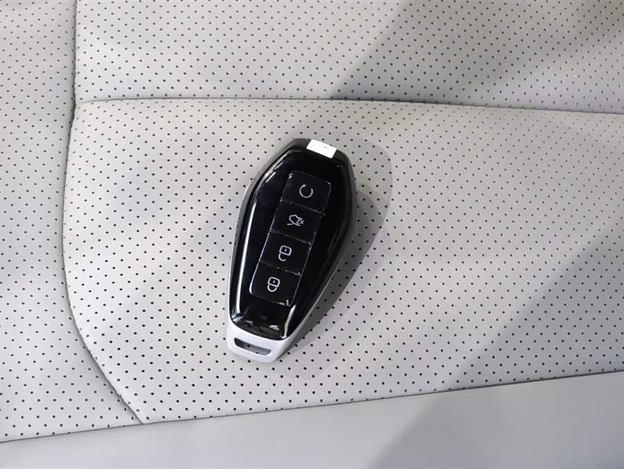 Denza N9 2025 car image #11