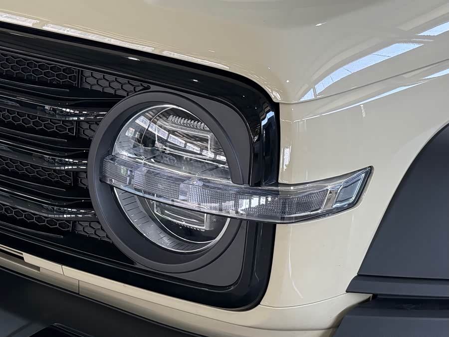 Tank 300 New Energy 2025 #11 Tank 300 New Energy 2025 car image #11