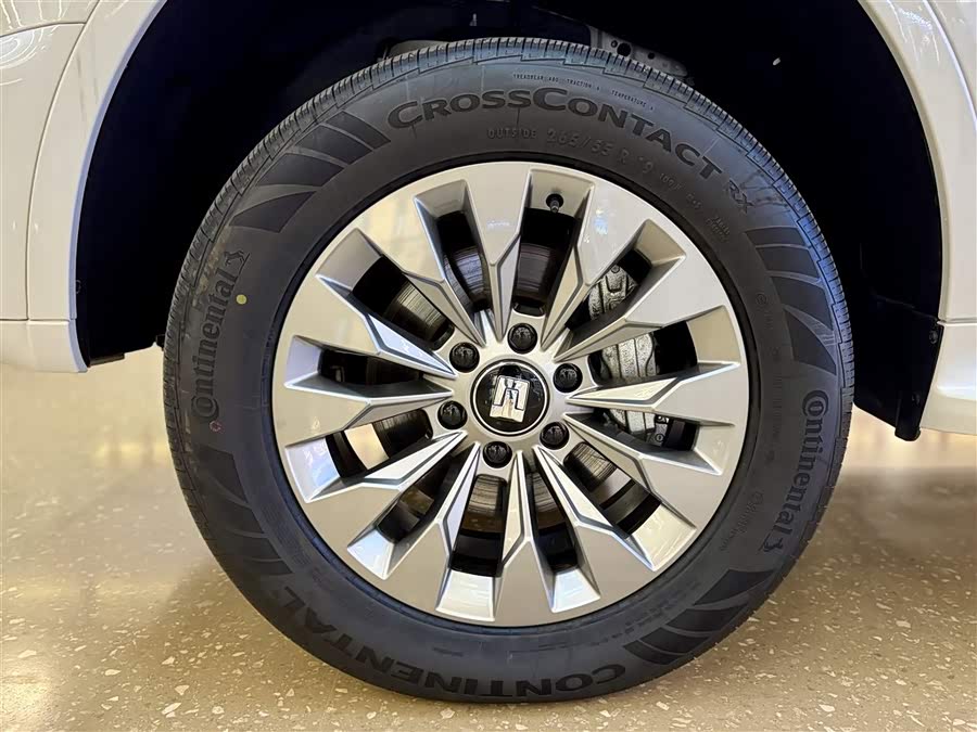 Tank 500 New Energy 2024 immagine di auto #11