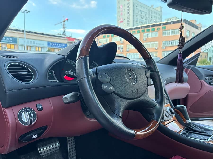 Mercedes-Benz SL Class 2008 #11 Mercedes-Benz SL Class 2008 car image #11