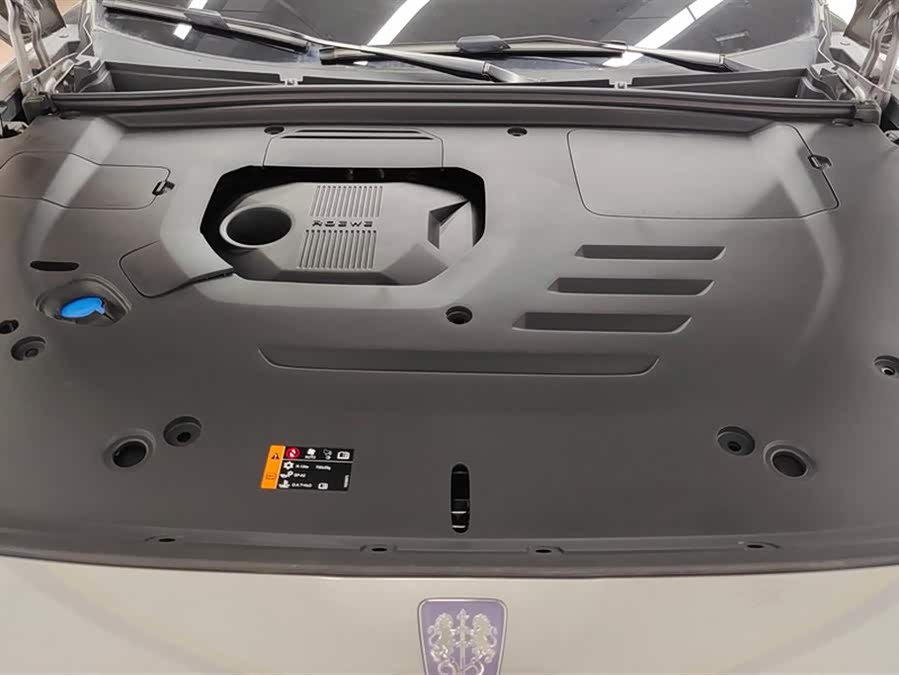 Roewe RX5 New Energy 2024 изображение автомобиля #11