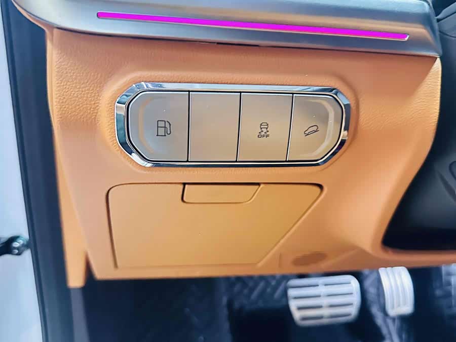 Tank 500 New Energy 2024 car image #11