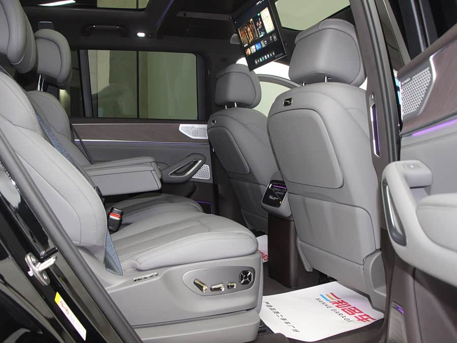 Denza N9 2025 immagine di auto #11