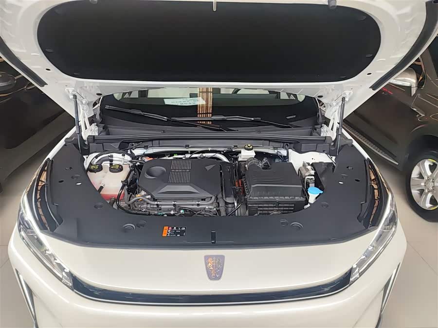 Roewe D5X DMH 2025 imagen de coche #11