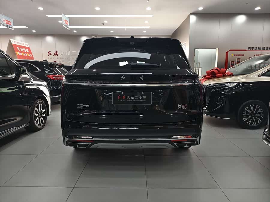 HongQi HS7 PHEV 2024 car image #11
