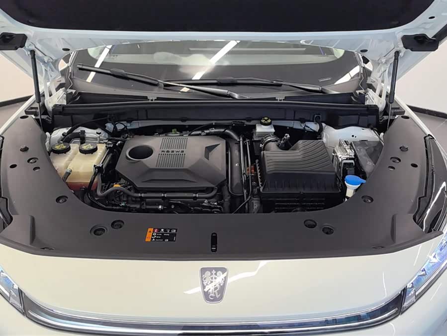 Roewe D5X DMH 2024 imagen de coche #11