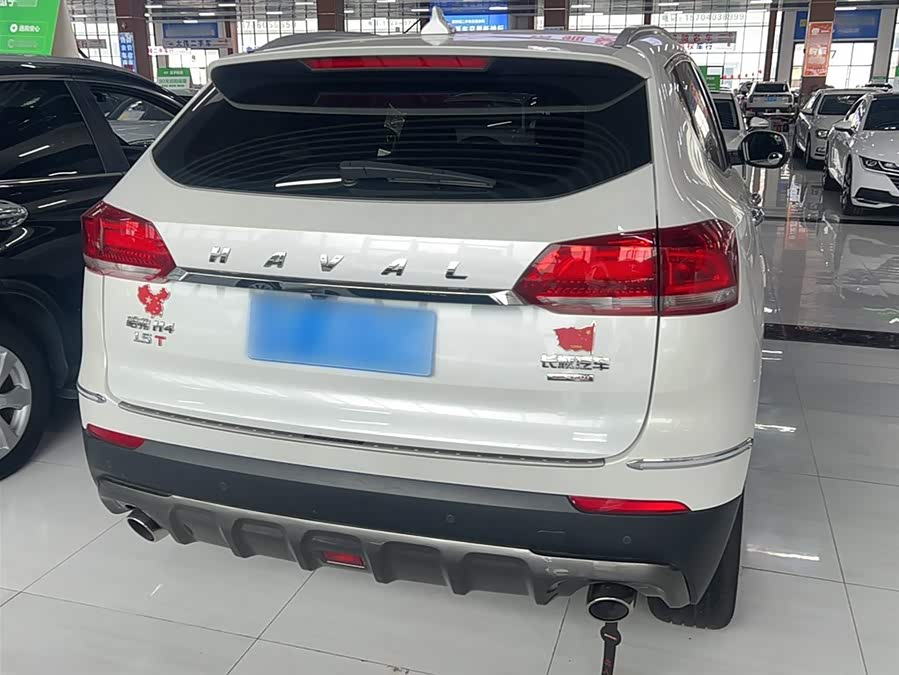 Haval H4 2020 immagine di auto #11