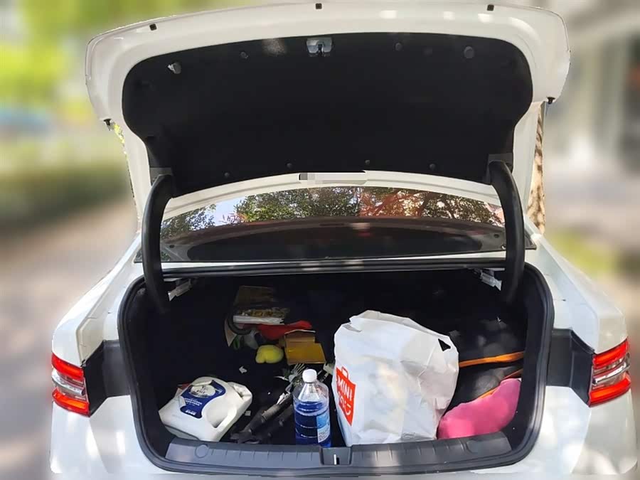 BYD Qin Pro 2019 car image #11