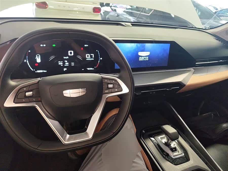 GEELY OkavangoPRO 2024 car image #11