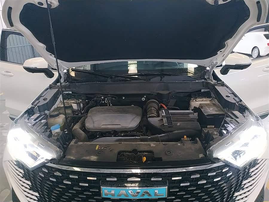 Haval H6 2022 car image #11