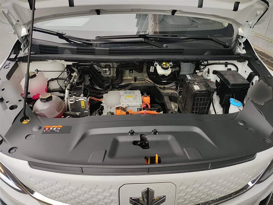 Livan Maple 80V L 2024 car image #11