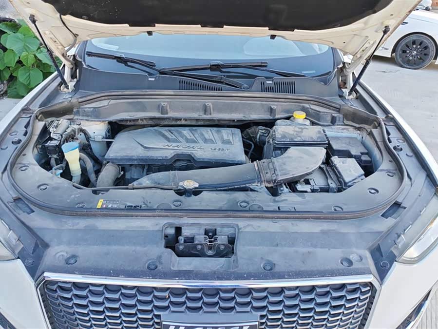 Haval F5 2019 car image #11