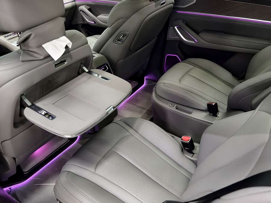 Denza N9 2025 car image #11