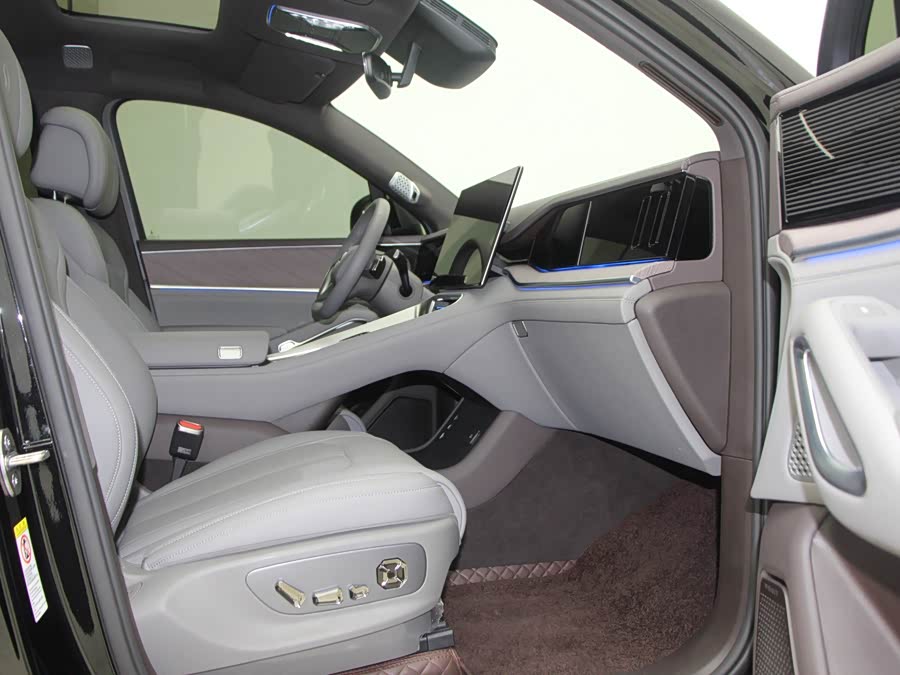 Denza N9 2025 car image #11