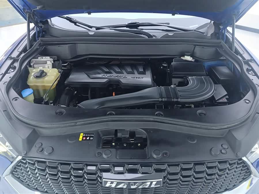 Haval F7 2019 image de voiture #11