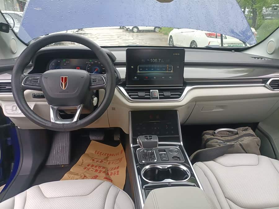 HongQi E-HS3 2019 car image #11