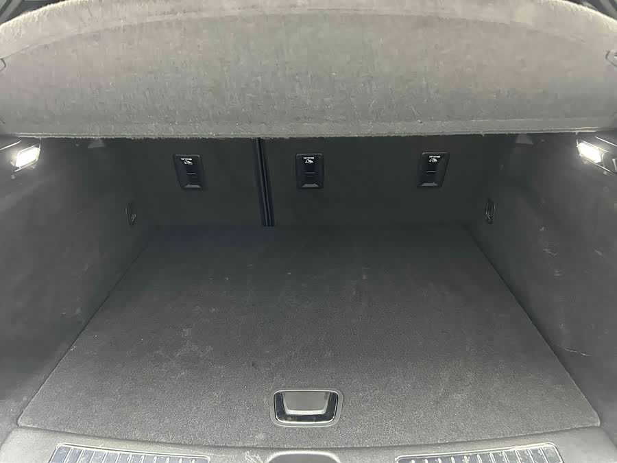 2020 car image #11