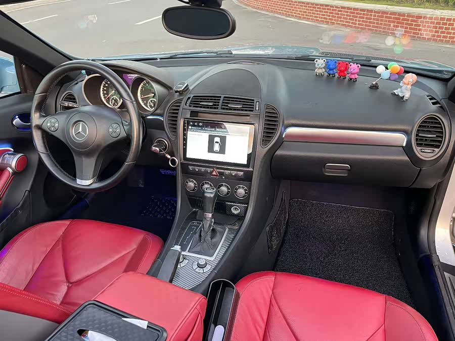 Mercedes-Benz SLK Class 2008 car image #11