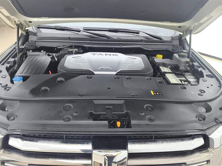 Tank 500 2022 imagem de carro #11