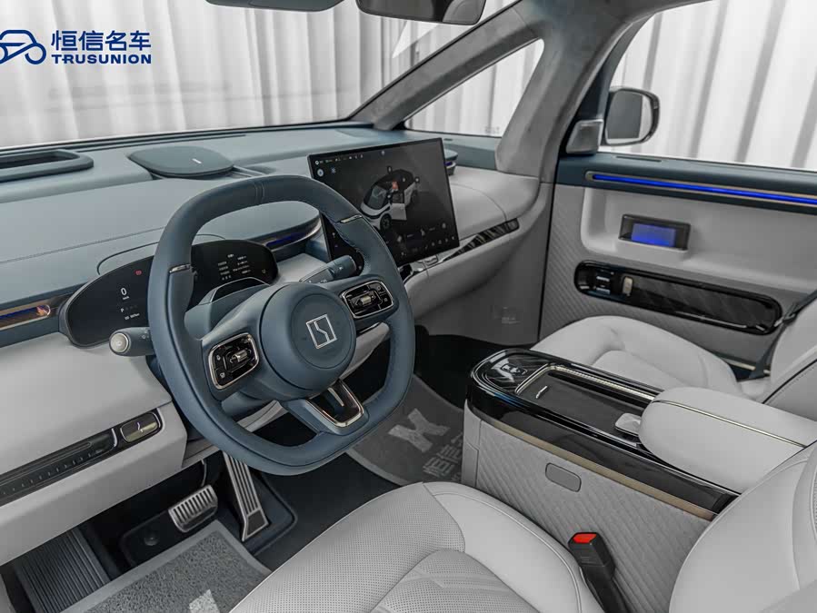 极氪 极氪MIX 2024 汽车图片 #11