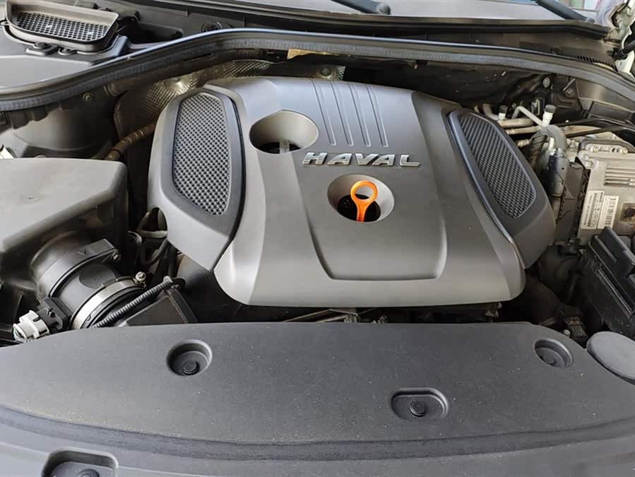 Haval H8 2018 #11 Haval H8 2018 car image #11