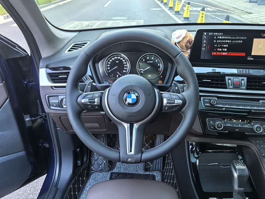 BMW X1 New Energy 2020 car image #11