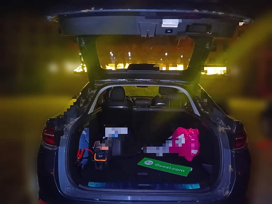 GEELY Tugella New Energy 2019 car image #11