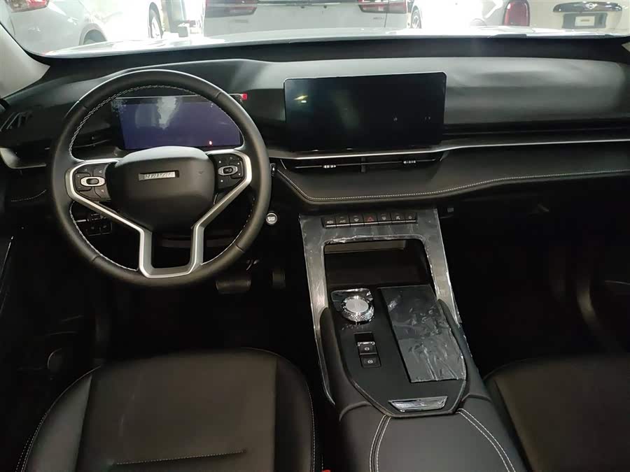 Haval H6 2025 immagine di auto #11