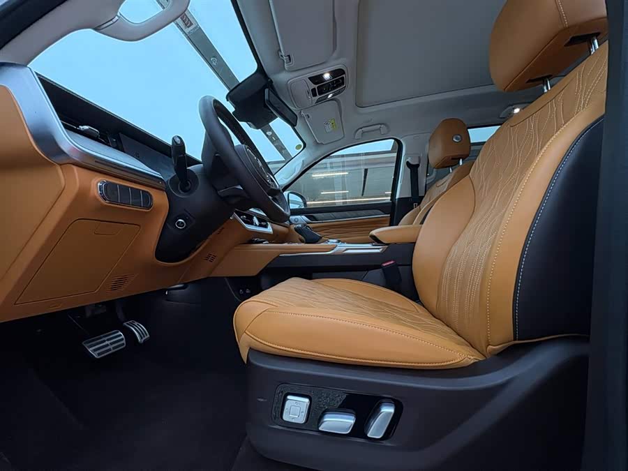 Tank 500 New Energy 2024 immagine di auto #11