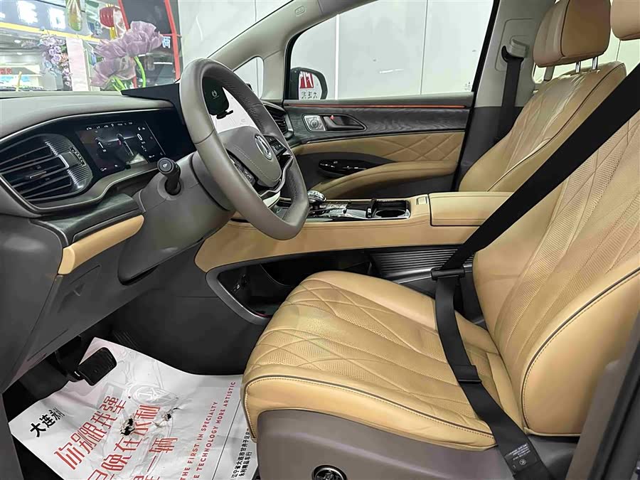 Denza D9 2023 imagem de carro #11